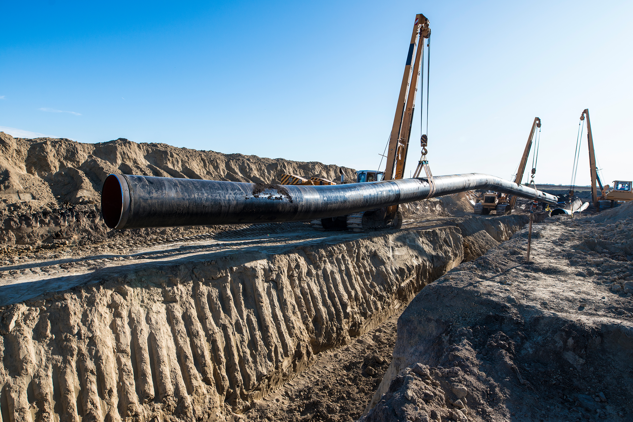 AdobeStock_303710886